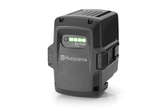 Battery BLi100 Integrated
