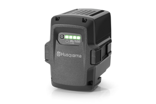 Battery BLi100 Integrated