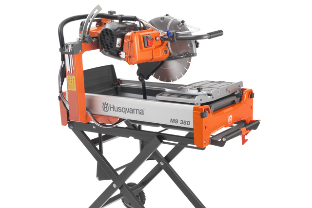 MS 360 right (alternate crop)