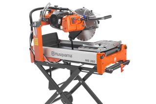 MS 360 right (alternate crop)