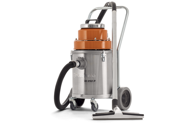 W 250 P