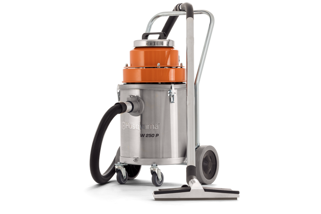 W 250 P